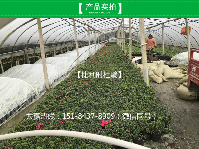 WechatIMG219_meitu_5.jpg