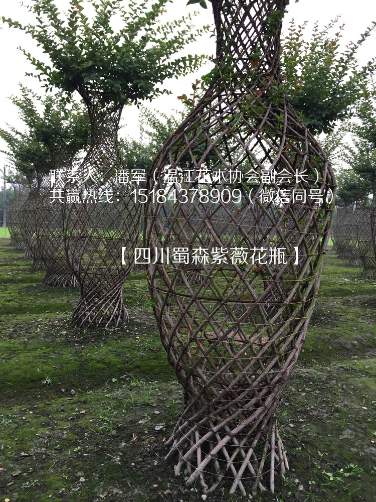 18_meitu_3.jpg