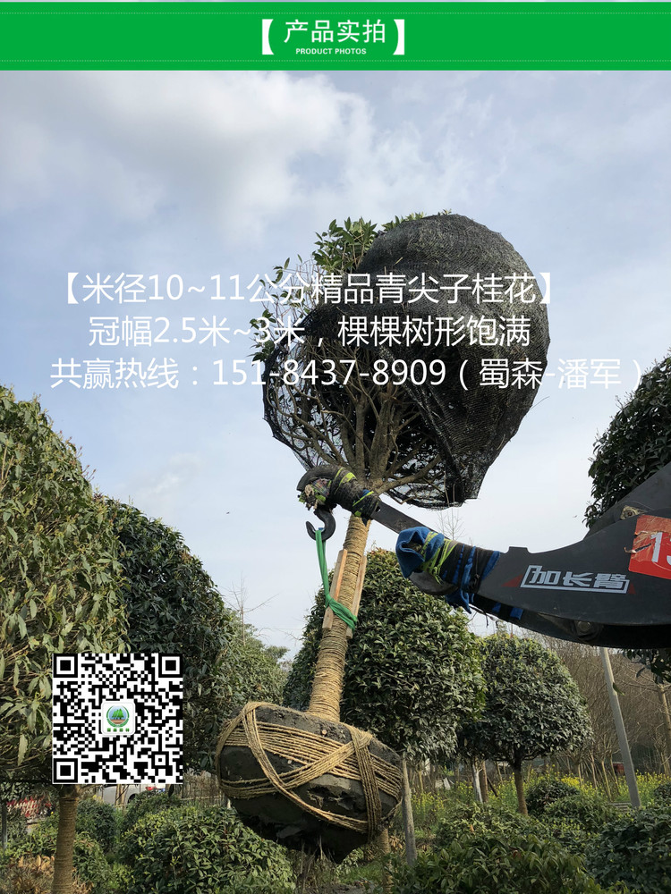 IMG_8589_meitu_4.jpg
