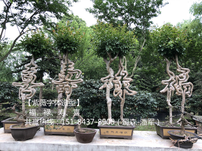 WechatIMG288_meitu_7.jpg