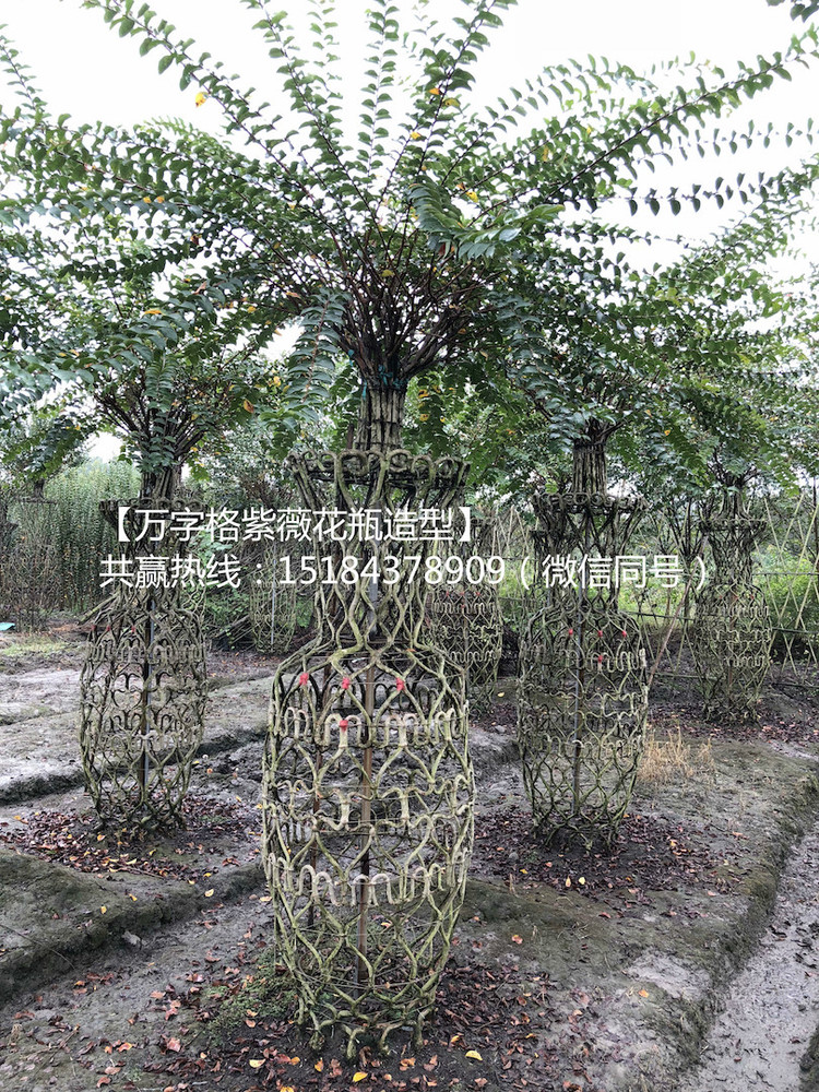 psb (3)_meitu_4.jpg