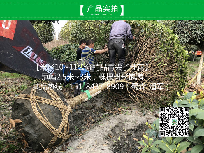 IMG_8624 3_meitu_7.jpg