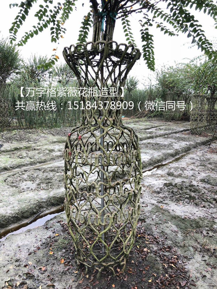 psb_meitu_6.jpg