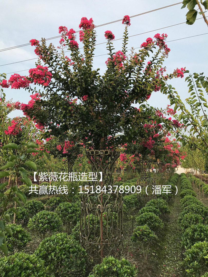 psb (3)_meitu_3.jpg