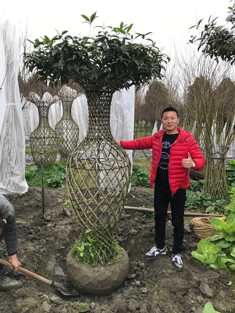 桂花花瓶.jpeg